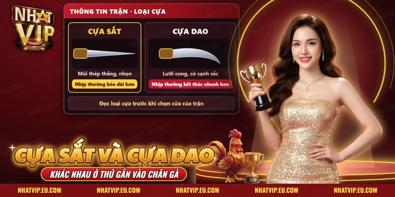 Đá Gà Cựa Sắt Và Cựa Dao Nhatvip – Khác Nhau Và Vé Mỗi Giờ