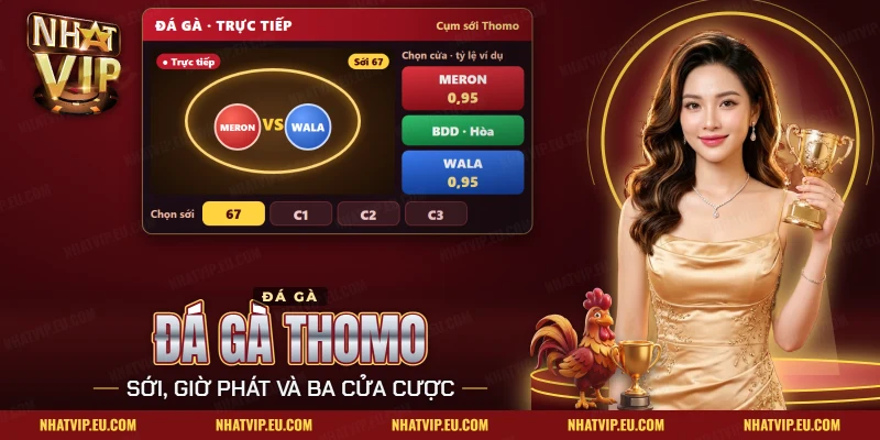 Đá gà Thomo Nhatvip với khung xem trực tiếp sới 67 và ba cửa cược Meron, BDD, Wala