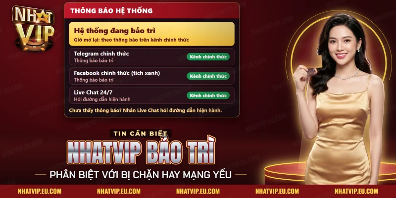 Nhatvip bảo trì hiện thành thông báo hệ thống, kèm Telegram, Facebook và Live Chat chính thức để hỏi giờ mở lại