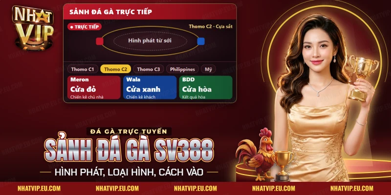 Sảnh Đá Gà SV388 Nhatvip – Giới Thiệu, Cách Vào Sảnh, Giờ Phát